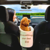 TravelSnug Pet Bed
