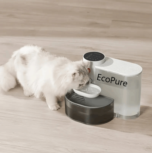 EcoPure