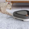 PawSpin Cat Triangle